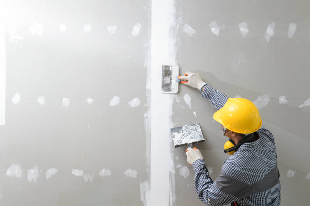 Mold Odor Removal Services in Ninety Six, SC