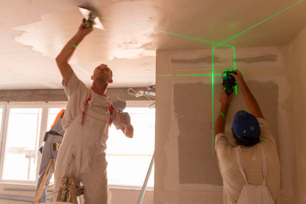 Best Emergency Mold Remediation  in Ninety Six, SC